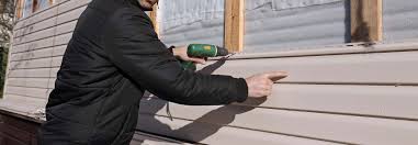 Best Custom Trim and Detailing for Siding  in Bronte, TX